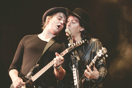 the wombats